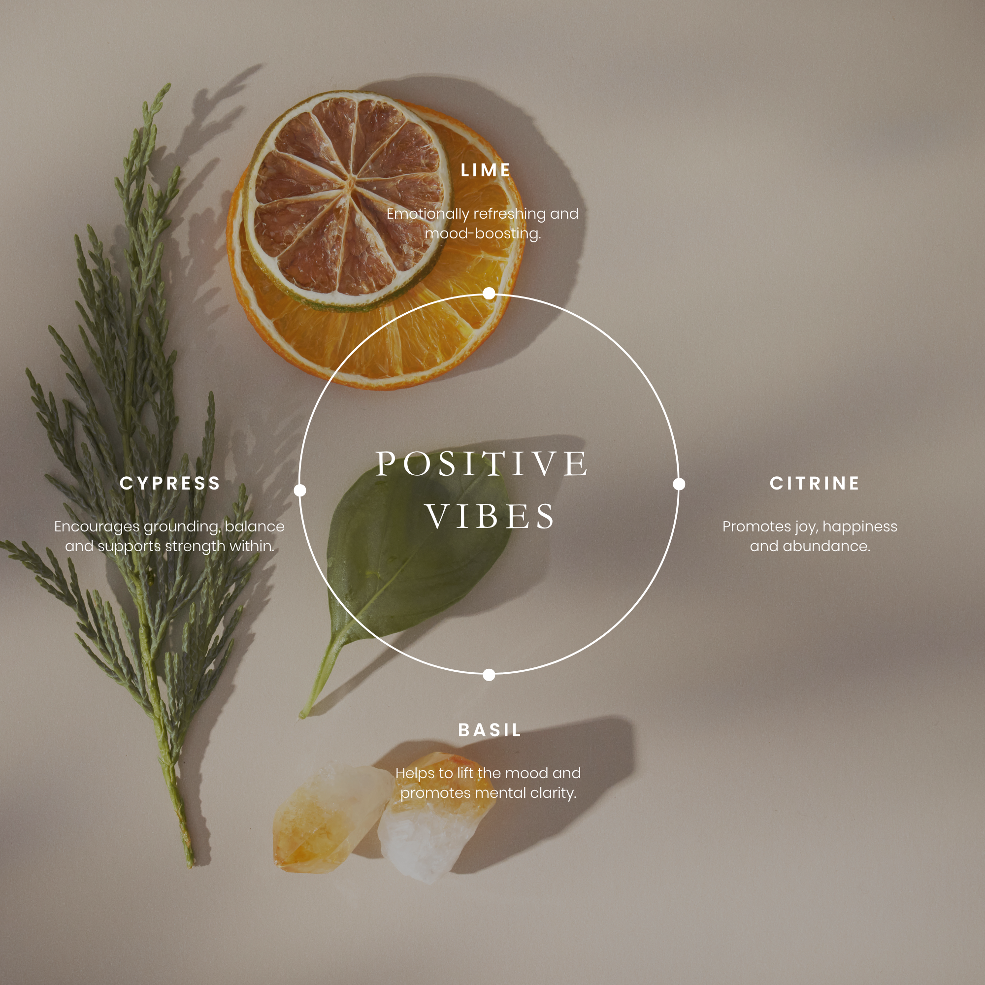 Positive Vibes Positivity Roll On 10ml