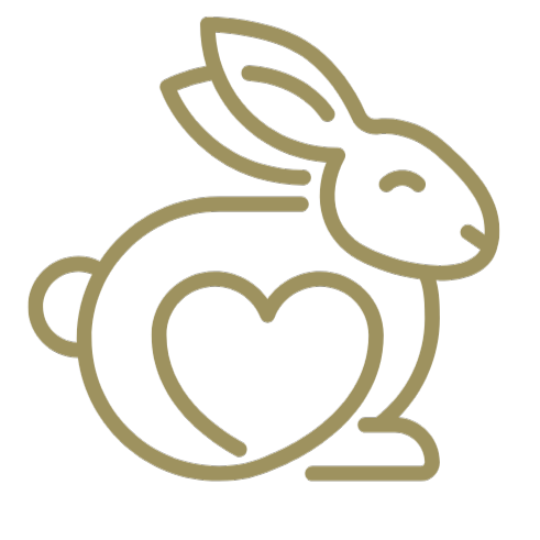 Cruelty Free & 100% Vegan