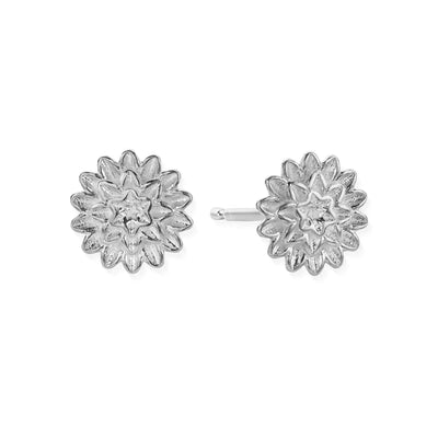 Botanical Beauty Stud Earrings | ChloBo