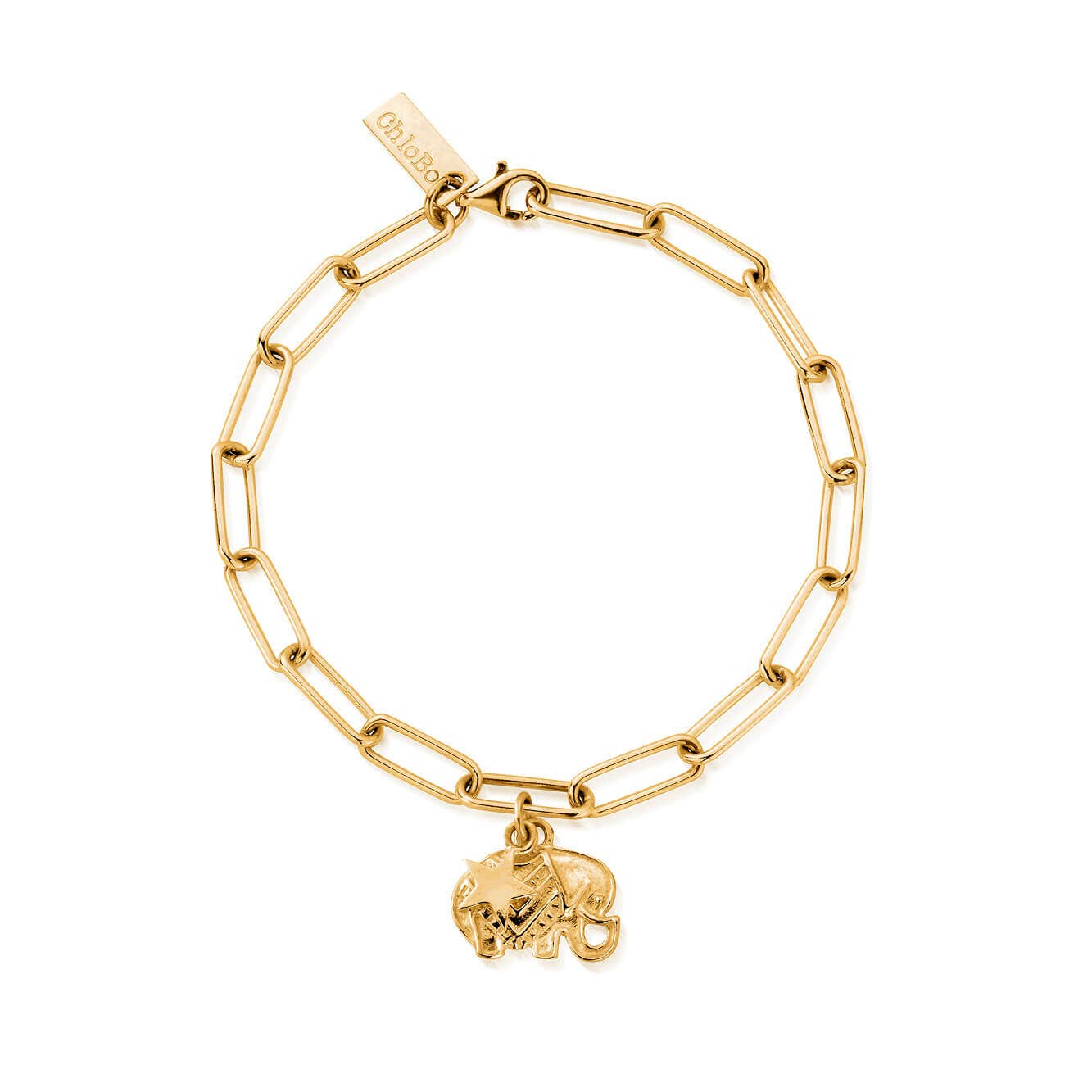 Link Chain Strength & Luck Bracelet | ChloBo