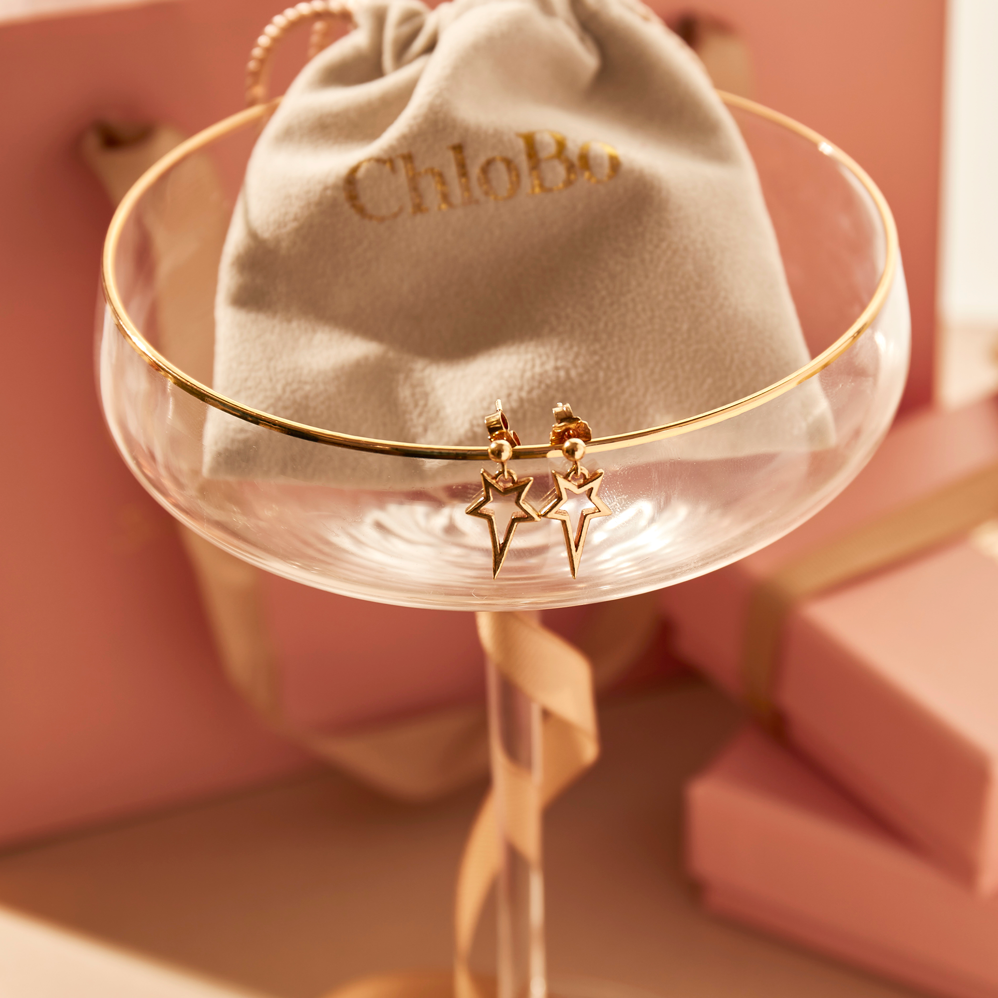 North Star Drop Earrings