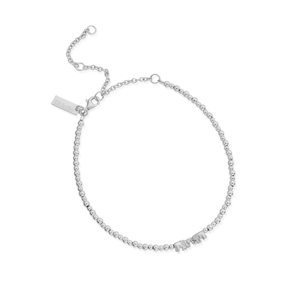 Mini Cute Lucky Elephants Anklet | ChloBo