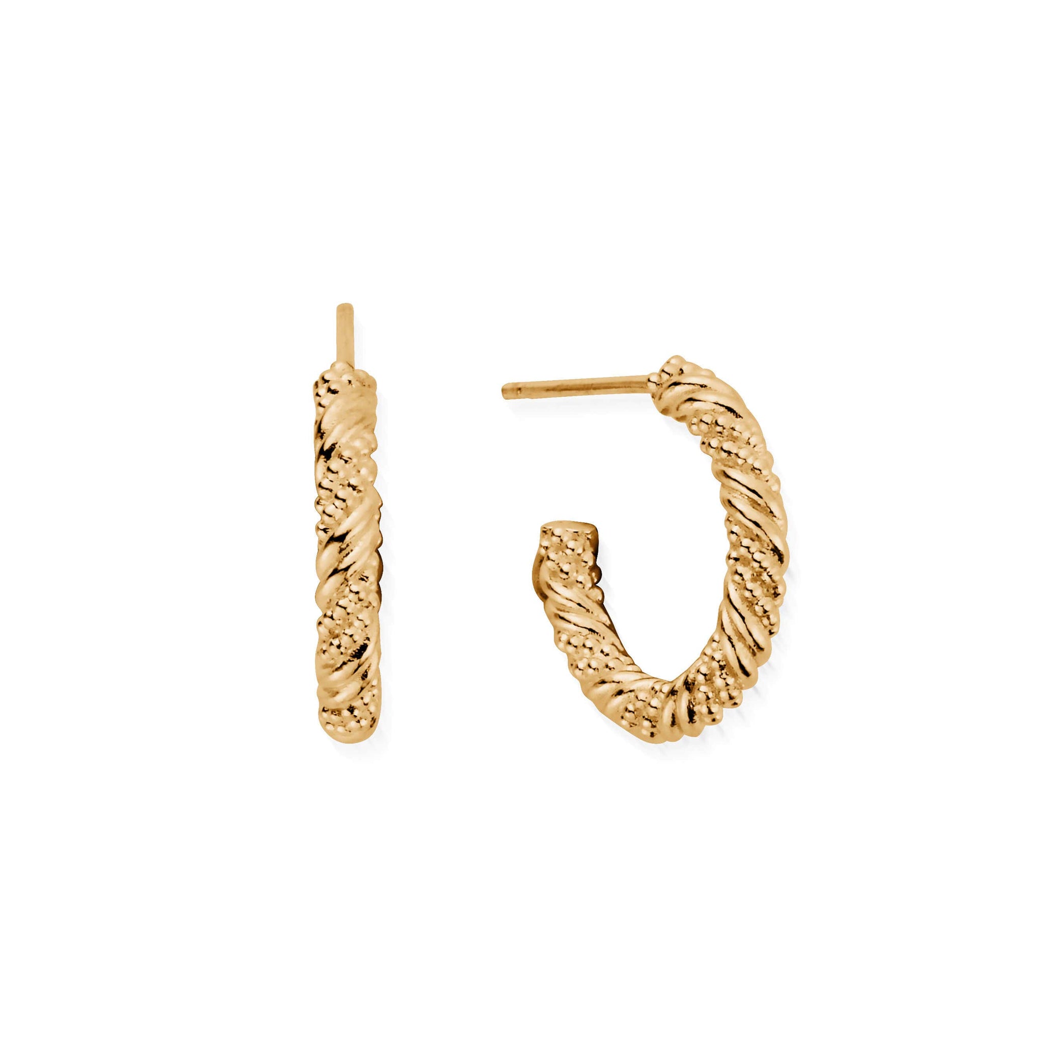 Entwined Passion Hoop Earrings | ChloBo